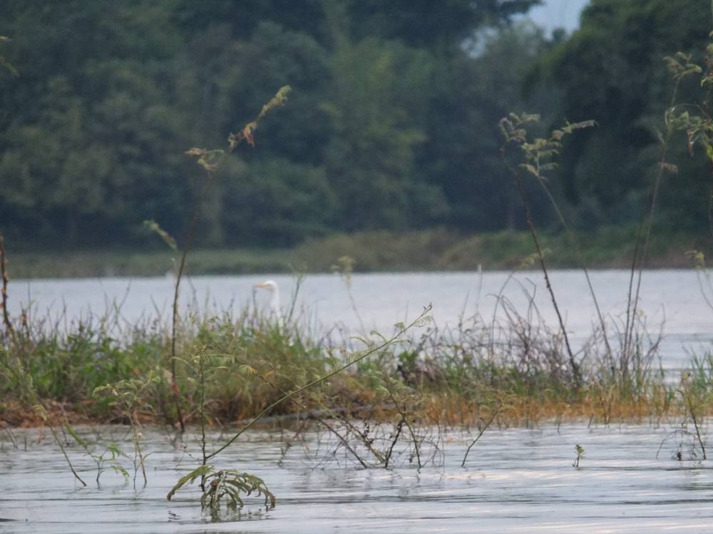 เช้าวันสุดท้าย ของแสงสุดท้ายที่ เขื่อนศรี