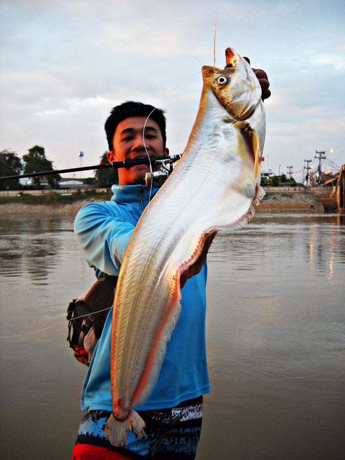 .......... คำภีร์ !! ตี ( ปลาเบี้ยว ) THOPHY Trip แม่น้ำเจ้าพระยา .......... 