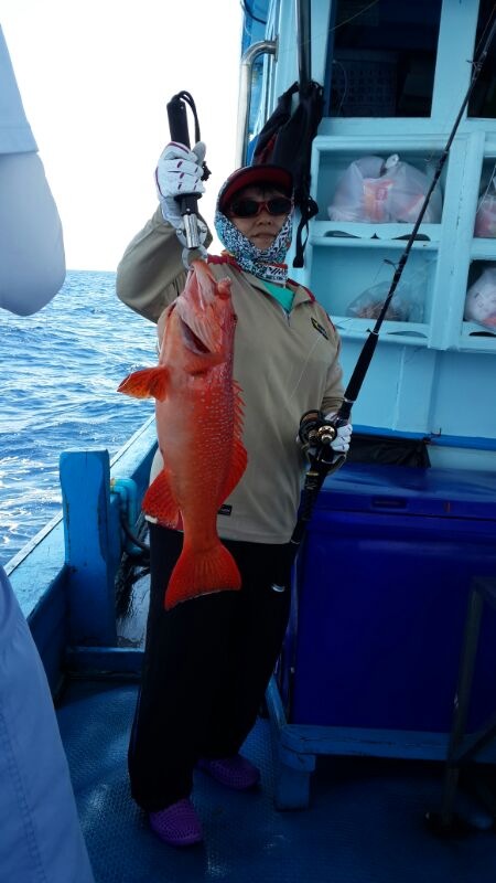 ปลากุดสลาด "Coral Grouper" สุดสวย :grin: :grin: :grin: