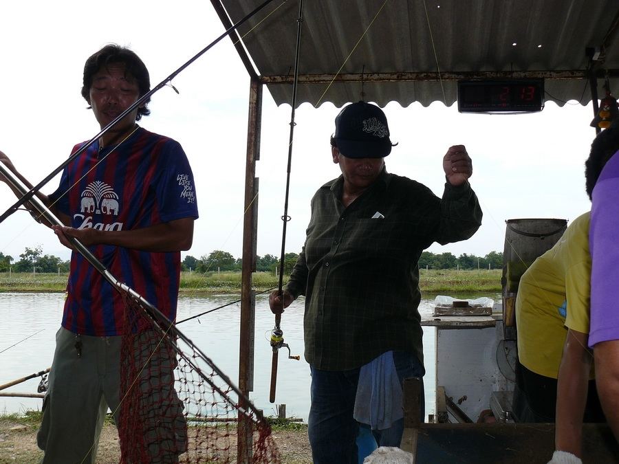 พี่วิทย์ ทีมงานบ่อPMปทุมฯ ลุ้นครับลุ้น :cool: :cool: :cheer: :cheer: :cheer: