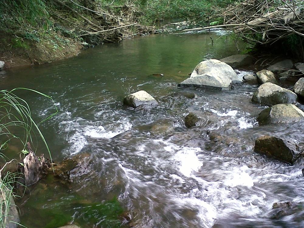 ทวนน้ำขึ้นมาถึงหมายสุดท้ายในป่าริมเชิงเขาครับ  ลำธารเล็กๆมีปลาว่ายเห็นตัวเลย :cheer: