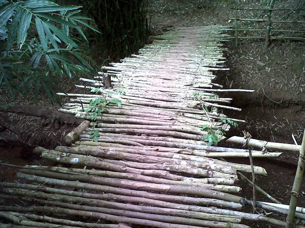 มาถึงสะพานข้ามลำห้วย ตรงจุดนี้วันนี้ผมดูเวลาสมควรต้องกลับแล้วเดี๋ยวมืดค่ำจะลำบาก

.............. ท