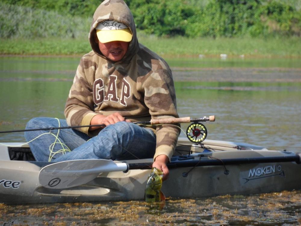 Peacock bass VS Fly Fishing  by Sadud"N"  Team.