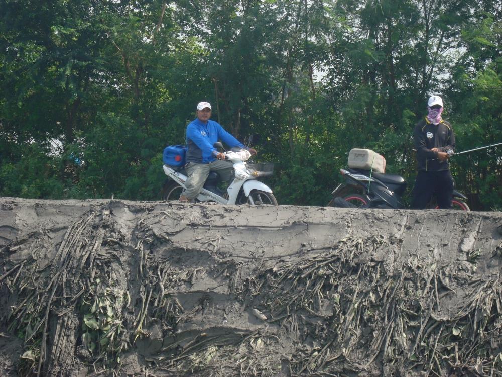 ไม่รู้ว่าแอบดูอะไรกันสงสัยจะเจอขอ�