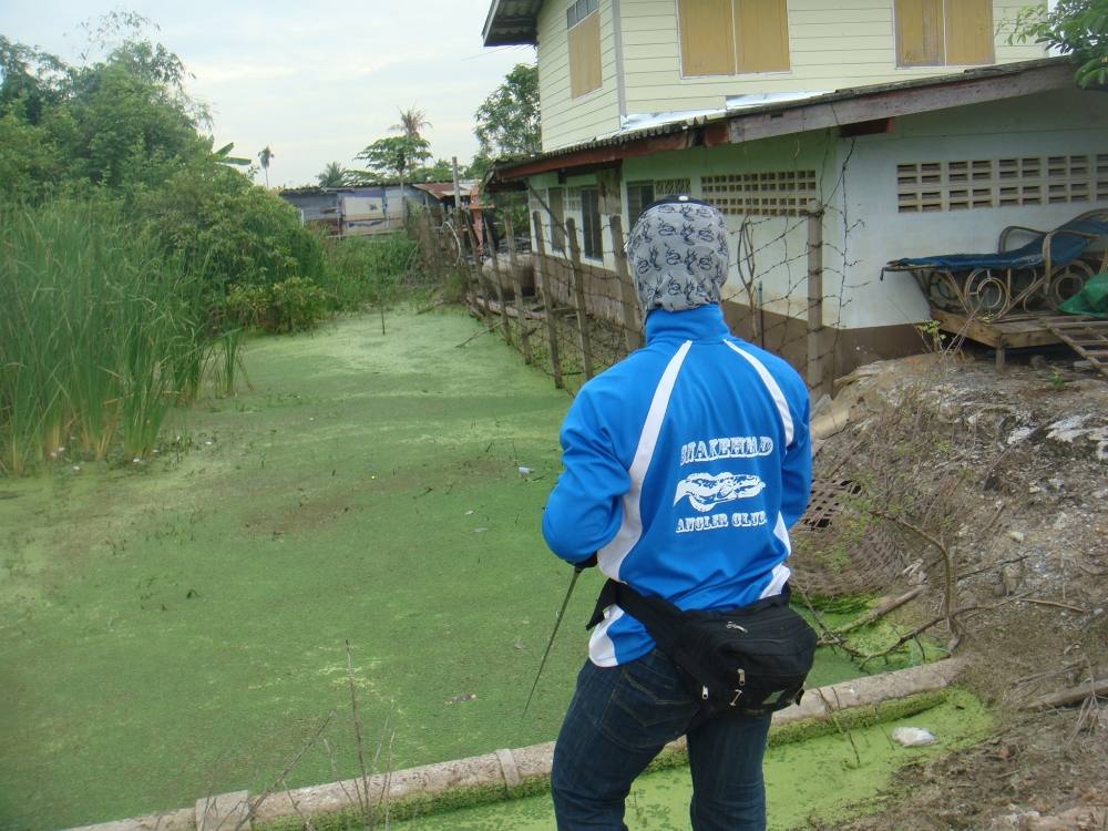 น้ากุ้งเจอหมายนี้บอกโดนแน่ จัดไป 20 กว่าไม้ เงียบกริ๊บ :laughing: :laughing: :laughing: