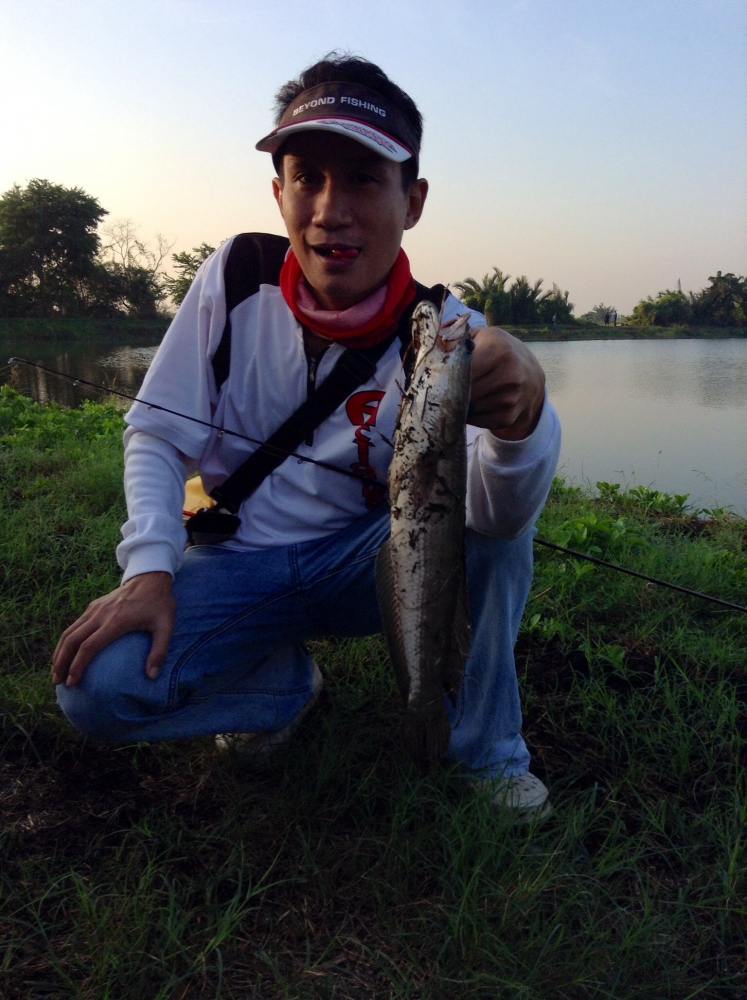แจมนิดนึงนะ...  :grin:

เดี๋ยวนี้ไม่ธรรมาพี่เค้าแข็งจิงนะ 55555  :laughing: :laughing: