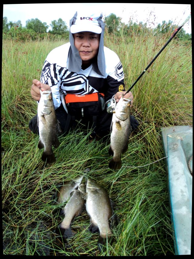ที่แท้ปลาอยู่กลางวังหลงไปพายเรือไปท้ายวังนูุ้นคนเดียว..... :spineyes:

ตากิตกดเอาๆๆคนเดียวไม่เรียก