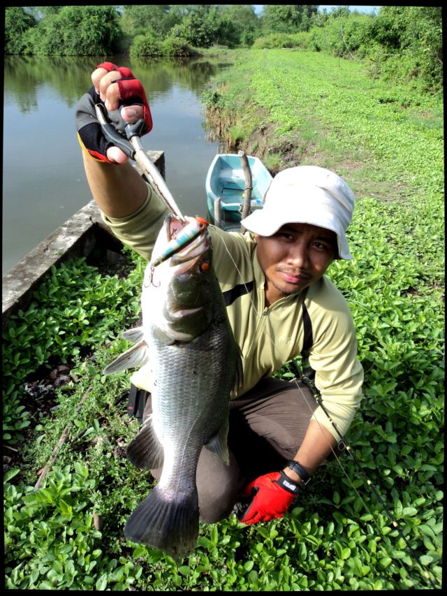 กัดPoP3D รุ่นเก่าชะด้วย :grin:

รู้งี้ไม่พายเรือให้เหนื่อยก็ดียืนตีหน้าประตูก็ได้ตัวเหมือนกัน :lau