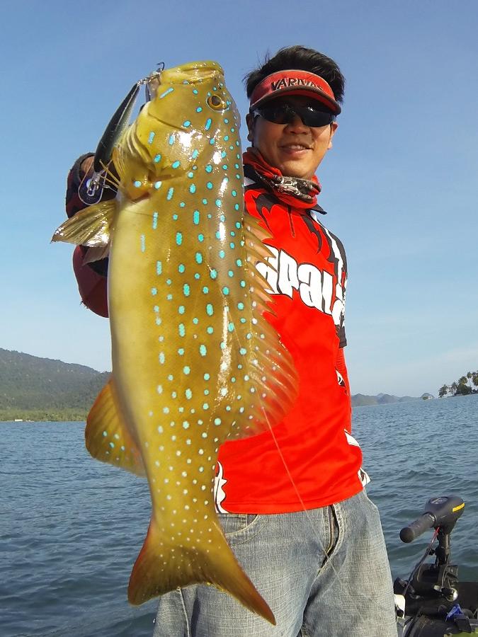 [center]ตรงแนวขอบกะรังหมูตี Shad Rap Deep โดนโฉบแรงๆ

เจ้าตัวที่เข้ากัดเหยื่อสีสวยทีเดียว ขึ้นมานี
