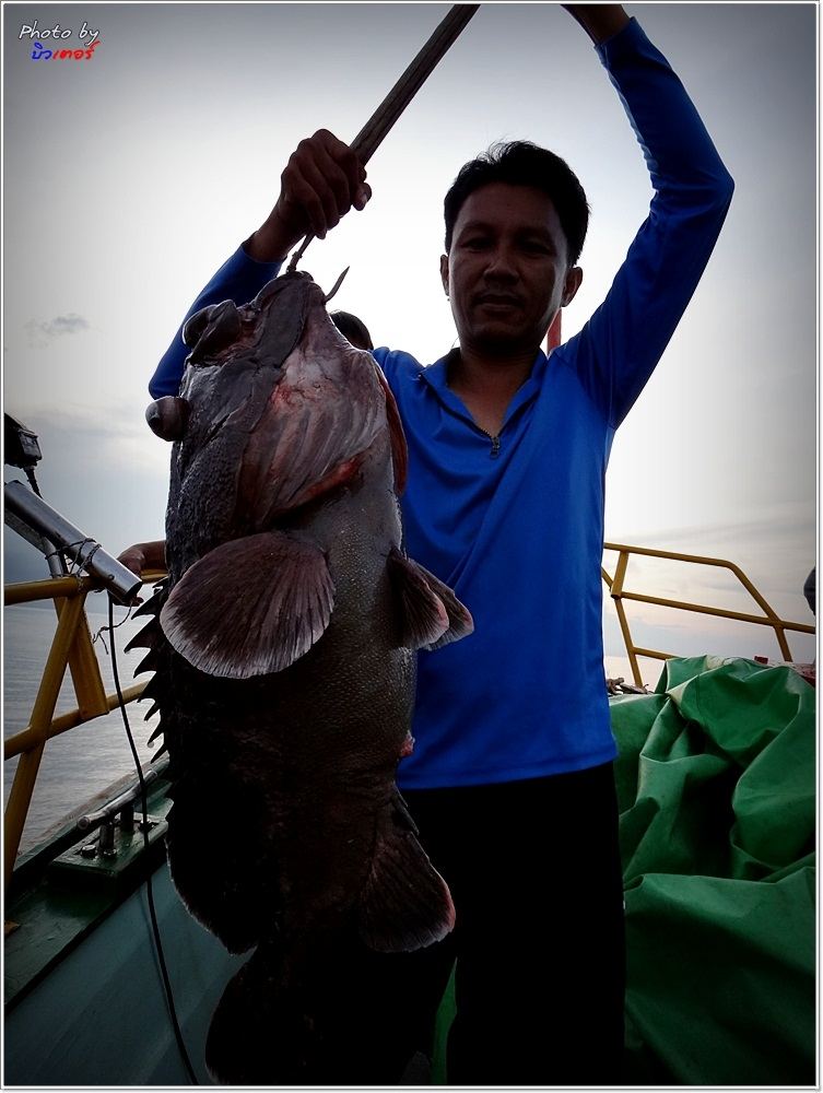  

:grin: [b]ตั้ม ขอโชว์เป็นคนแรก[/b] :grin: :grin: :grin: