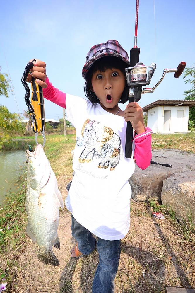 รวมๆครับ