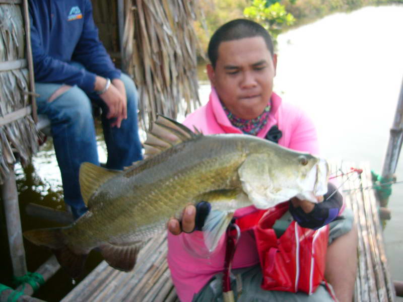 ปลา.บ่อ.นี้....แรง.ดี.ชะ.มัด..(ทำเสียงเกร็งๆด้วย) :grin: :grin: :grin: