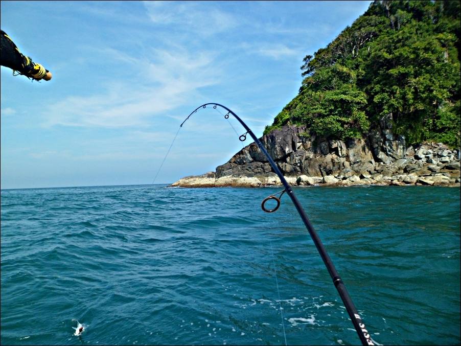 
 [center]คันเดิมจากทริปที่แล้วของผมครับ  คัน okuma NEMESIS II  6.6  10-20 lb 2 ท่อน[/center]