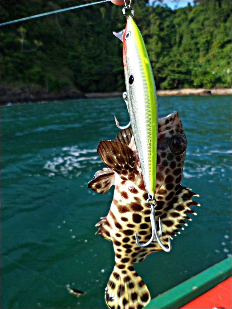 
 [center]ที่เข้ากัดเหยื่อใหญ่ๆๆ อย่าง   [b]RAPALA FLAT RAP 10 สี  CLN[/b][/center]