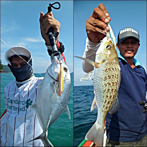 
 [center]................H i g h l i g h t .................. 

ของการ Casting และ Light Jigging