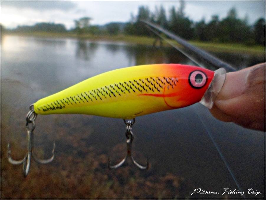  
[center]ผมหยิบเหยื่อ  RAPALA SKITTER POP 7 ตัวนี้มาใช้ก่อนเลยครับ เผื่อว่าจะมีปลาล่าเหยื่อสักชนิด