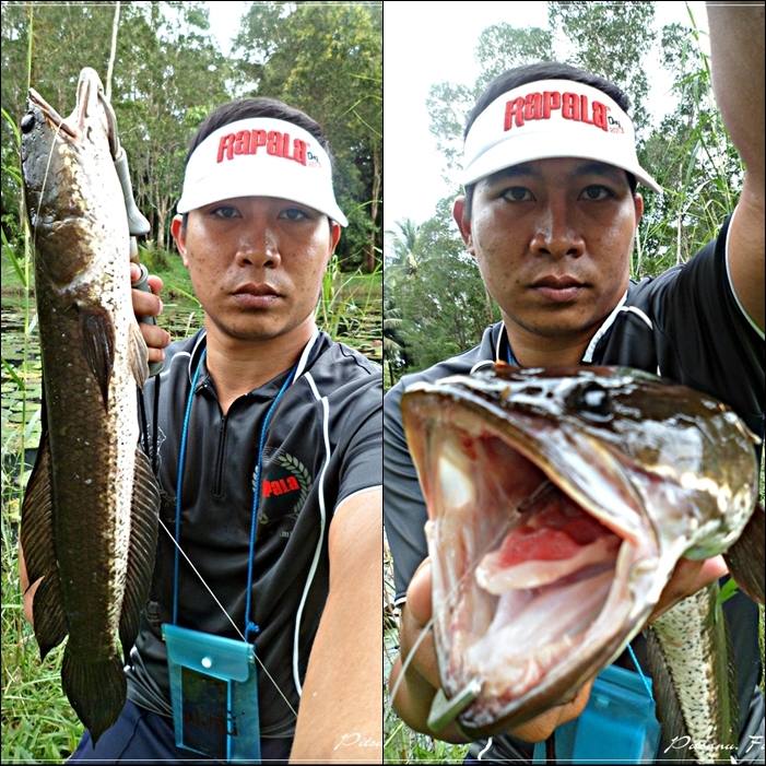 
 [center]ส่งท้ายของทริปนี้  ด้วยภาพ ภาพนี้เลยครับ  

ไม่ว่าผมจะตกปลาในแนวไหน ลักษณะไหน นํ้าเค็มห