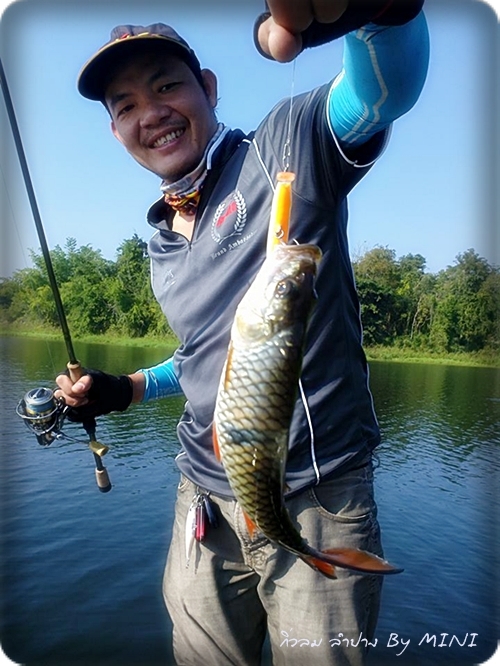 


 [center]RAPALA FLAT RAP ตัวเดียวเย่อได้ทั้งวัน

 :umh: :umh: :umh: :umh: :umh: :umh: :umh: 