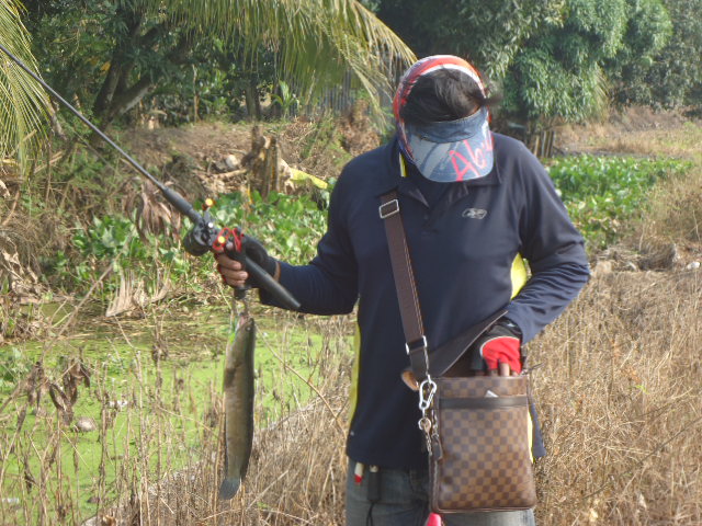 หลังจากที่ส่งตามไปซ้ำก็ได้มา :grin: :grin: :grin: :cheer: :cheer: :cheer: