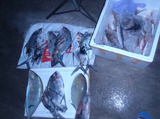 :cheer:นี่หละครับทะเลจะเอาอะไรได้แน่นอน ได้มากได้น้อย ก้อถือเป็นกำลัยชีวิตครับ :cheer: