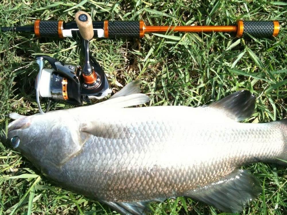 Daiwa Presso AGS Limited อีกคัน  คันนี้เป็นคัน 2 ท่อน ยาว 7' 4" + Spin Presso สาย PE 0.4 ครับ
UL 