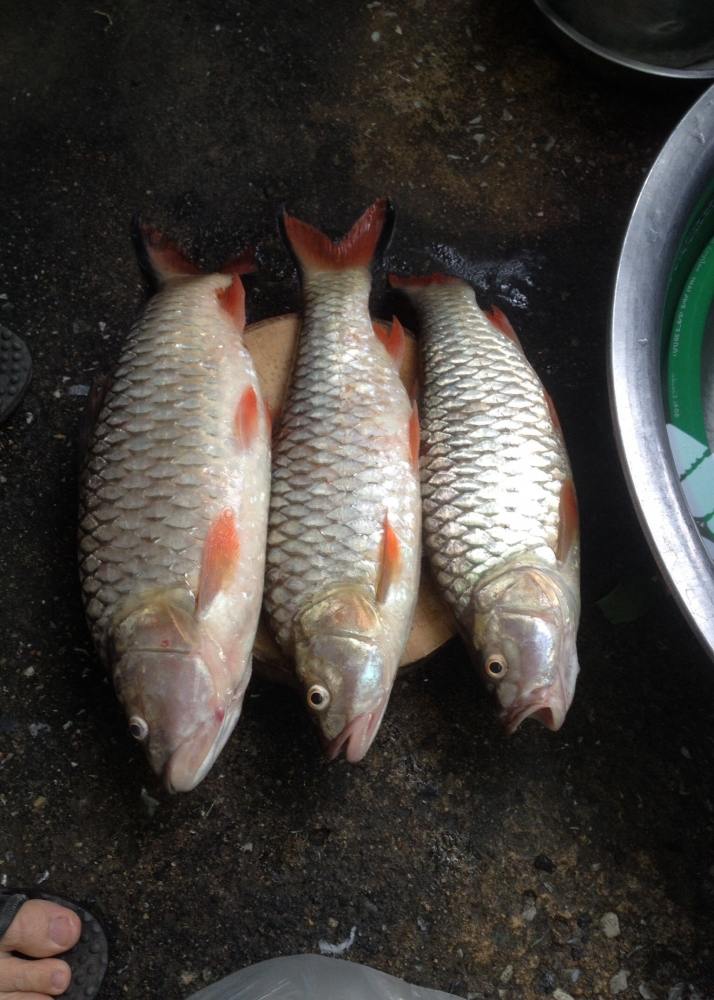 เดียววันอาทิตย์ไปอีก