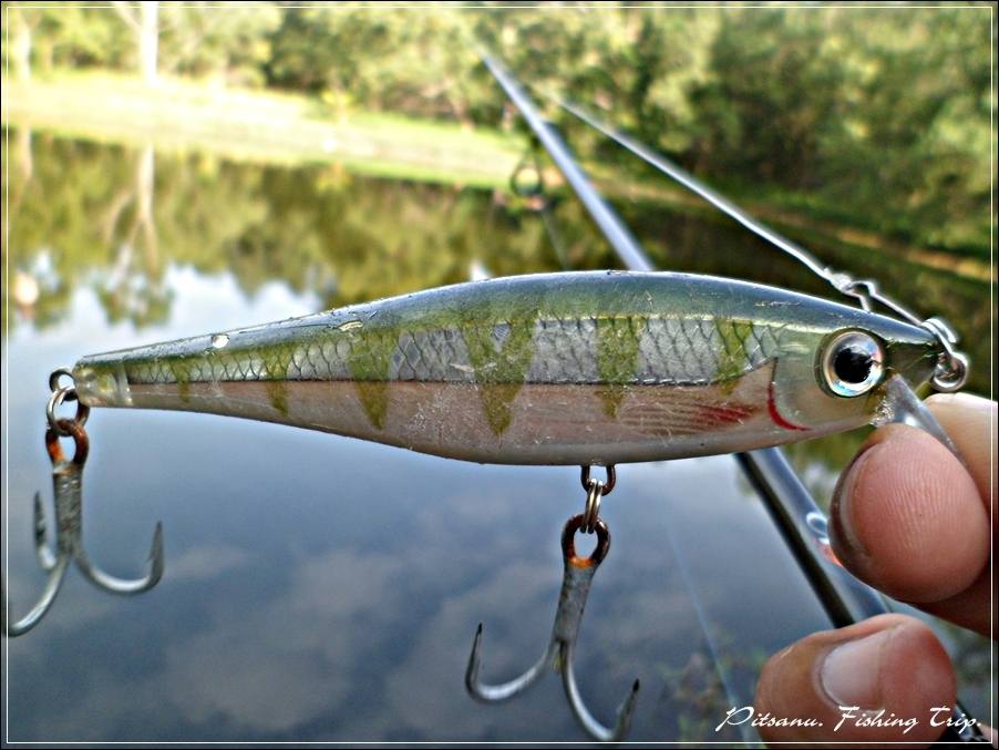 
 [center]ตัวนี้   [b]RAPALA BX MINNOW 10 [/b] รหัสสี  YP[/center]

