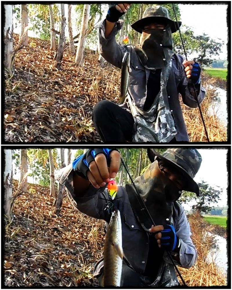 ดิ้นซะแรงเลยนะ   ตัวแค่เนี๊ยะ   :spineyes: :spineyes: :spineyes: