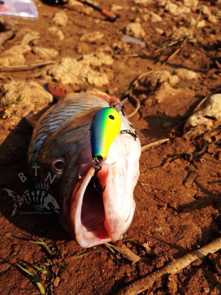 เต็มปากครับ rapala fat ตัวนี้เวิร์ค จริงๆครับ :cheer: :cheer: