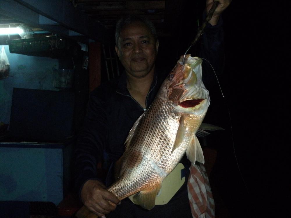  [b]พี่จ่าอัดเงียบๆอยู่ท้ายเรือ เป็นปลาเกมส์ตัวที่ 5 แล้วครับ[/b]




