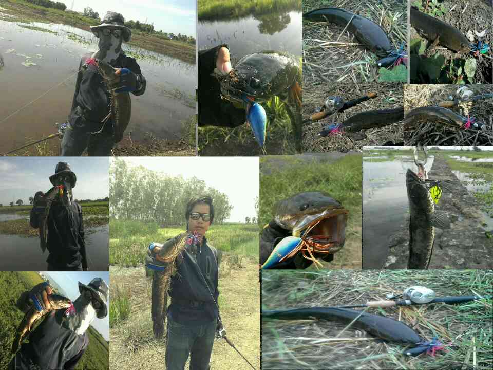 กบ Aod บางเขน ส่งท้าย 2556