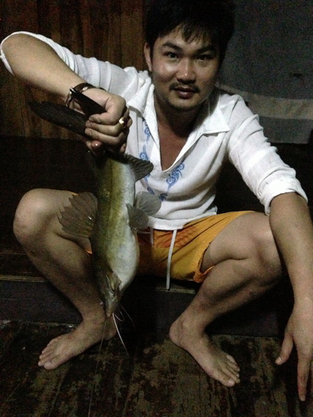ปลากดเหลือง ตัวที่ 2 ของคืนแรก  น้องผมจัดมา ขนาดกำลังดี แหล่ม เลย  :laughing: :laughing:
