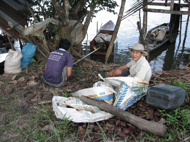 ลุงท่านนี้อายุ 86 ปีครับ ยังหาปลาอยู่ที่คลองนี้ครับ ช่วงที่เราขับเรือกลับ แกพายเรือสวนกับเราชักพักเร