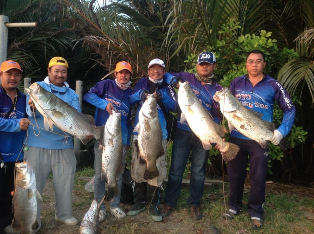 กระพงยักษ์ๆ จัดหนักจัดเต็มที่ดีที่สุดส่งท้ายปี by  กระดี่  YOYO fishing team