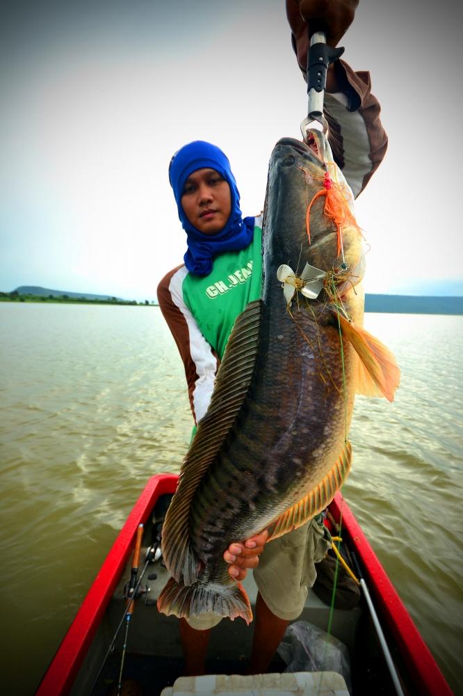 กับพี่ปุ้มครับ จัดให่หล่อๆเลย :cheer: :cheer: :cheer: :cheer: