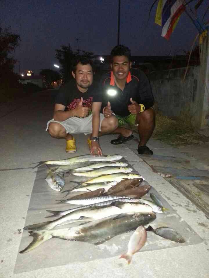 ปลารวมของวันนี้ครับ ช่วงกินดีอยู่ 3-4 ชั่วโมง นอกนั้นเขย่าคันกันเพลินเลยยย