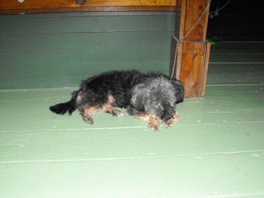 ลูกชายก็นอนแล้วเหมือนกัน

 :laughing: :laughing: :laughing: :laughing: