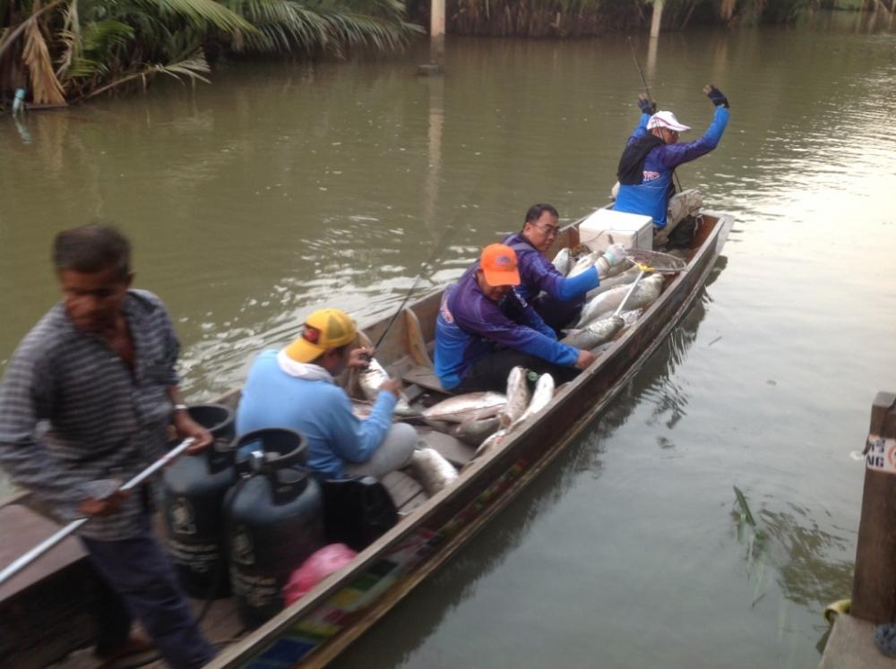 กลับแล้ว เรือลำนี้บรรทุกปลากลับ ห้ามร่มเด็จขาด