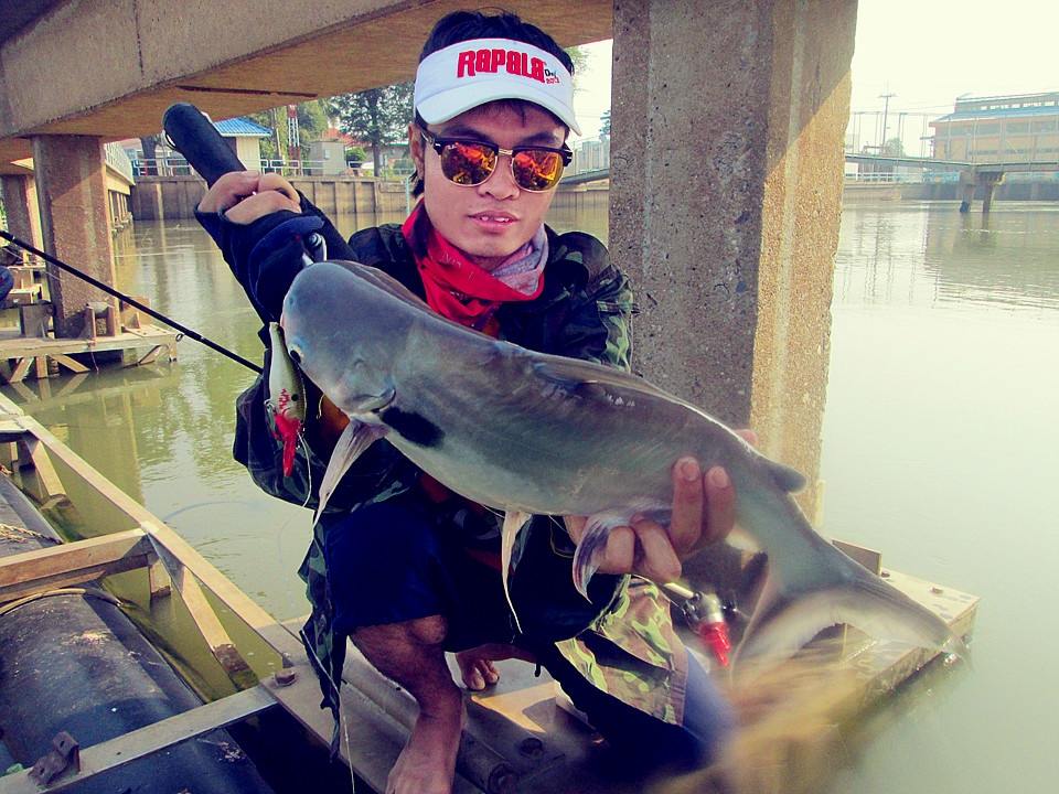 Rapala Shad Rap 7 Cm BOF
