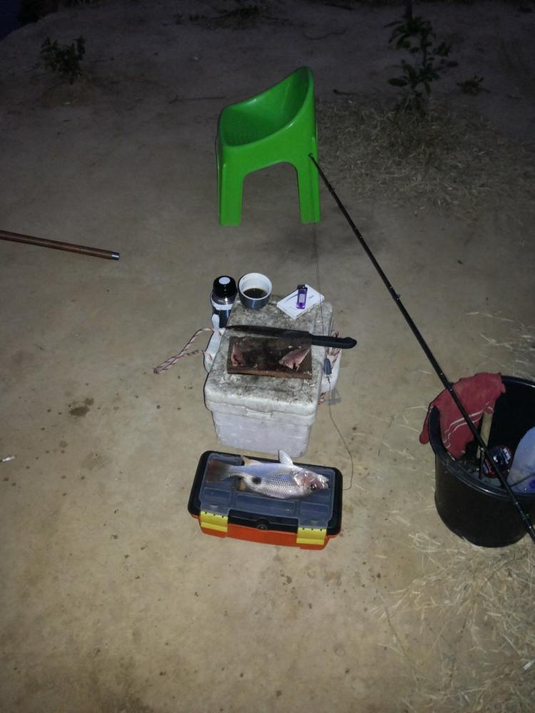 ล่าสุด