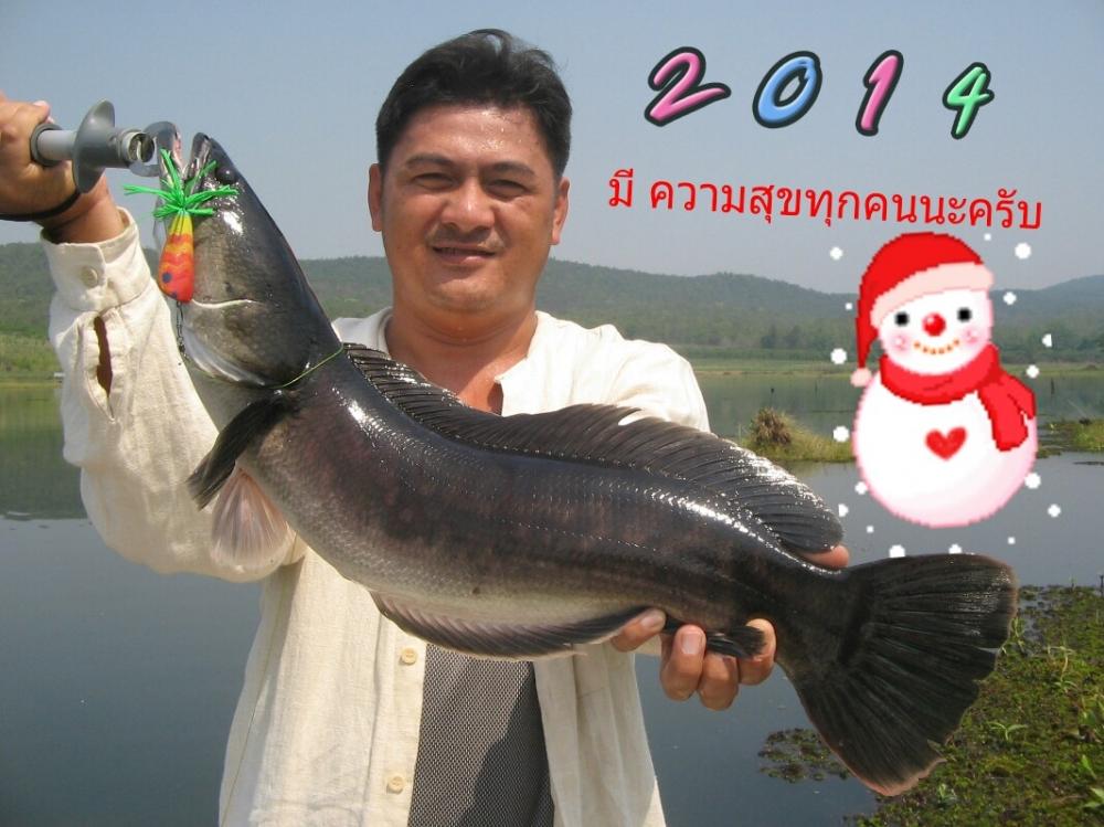 สวัสดี  2014