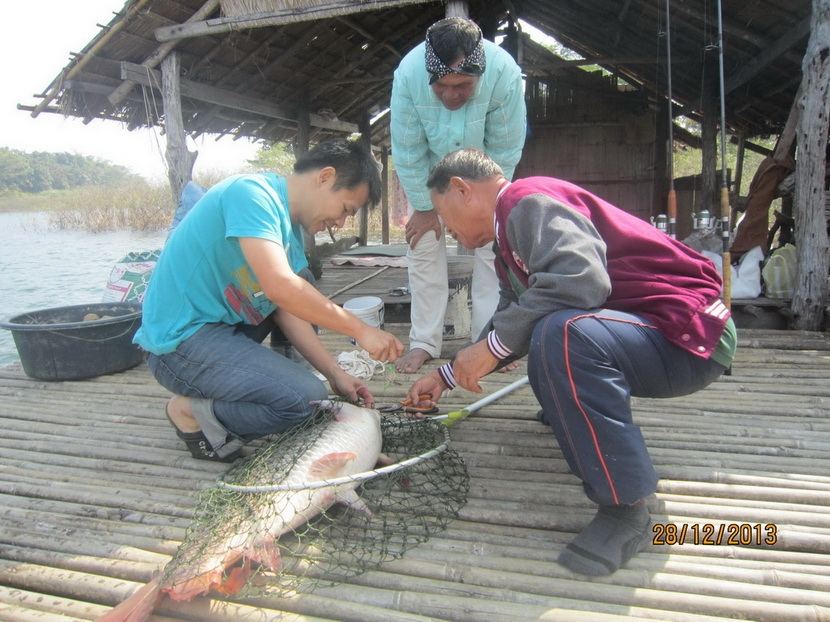 พ่อมาช่วยปลดปลาให้ 