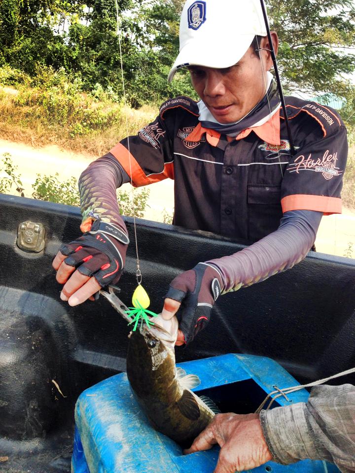พี่ทุย ปลดปลาใส่ถัง    :grin: