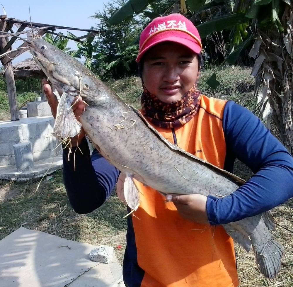 ดูเอาครับพี่น้องว่ากี่โล สาย 4 ปอนด์ ไม่ต้องเสืบว่าใช้ต่อได้ใหม กระจาย :ohh: