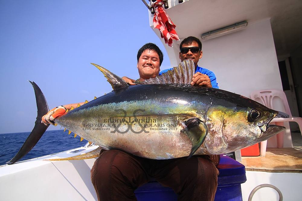 ปลาตัวสุดท้ายที่ขึ้นเรือ ......ความมันส์เกินจินตนาการ ...

