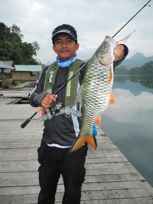 ชุดอัลตราไลท์ กับปลากระสูบเขื่อน มันส์มากๆเลยครับ  :grin: :grin: :grin: :grin: :grin: