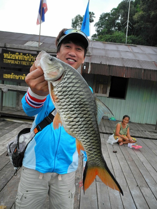 Vincent ขอยืมเอาปลาไปถ่ายรูปซะหน่อย  :laughing: :laughing: :laughing: :laughing: