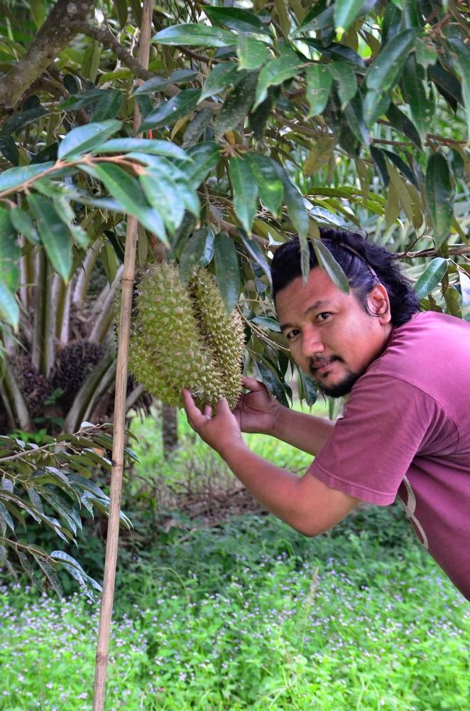 อีน้าเนตรหนึ่งในผู้ร่วมทริป แอบไปสอย ทุเรียนดิบ มาเล่นของเจ้าของสวนไปแล้วครับ :umh: :umh: :umh: :umh