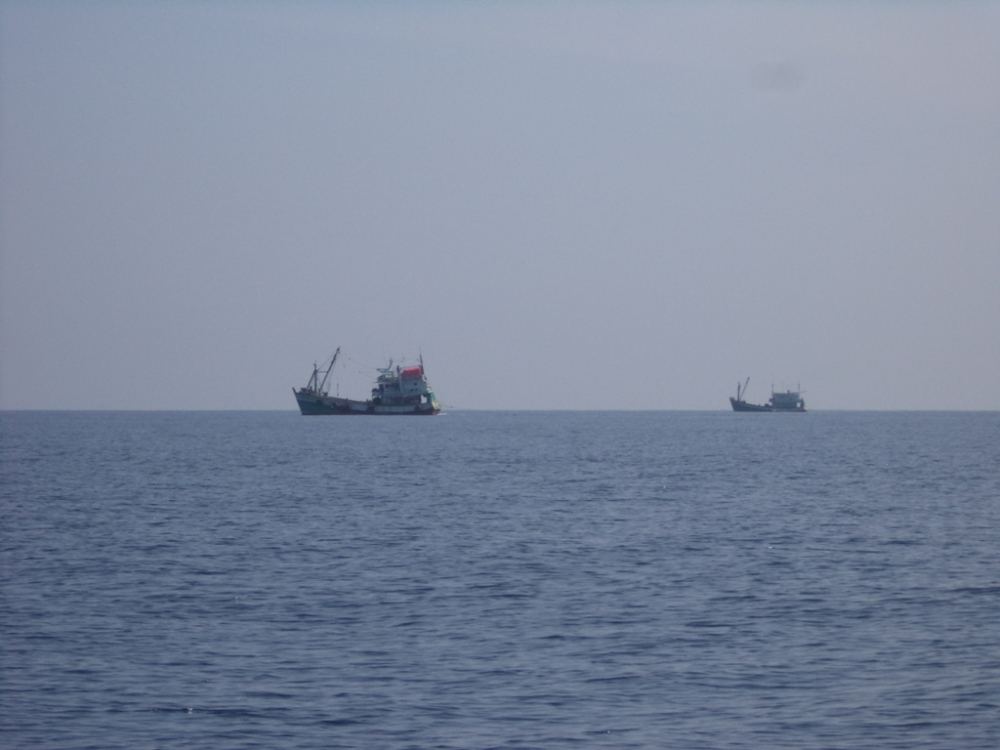 วิ่งออกมาเจอแต่เรืออวนลากเต็มไปหมด แล้วจะเหลือปลาให้ตกมัยเนี่ย :sad: