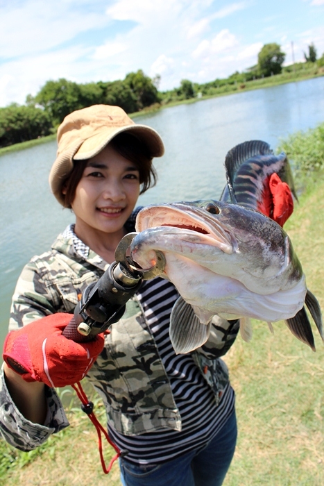 ชะโด อีกตัว คร่า :grin: